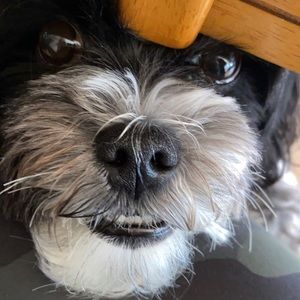 Meet your Posher, Jody